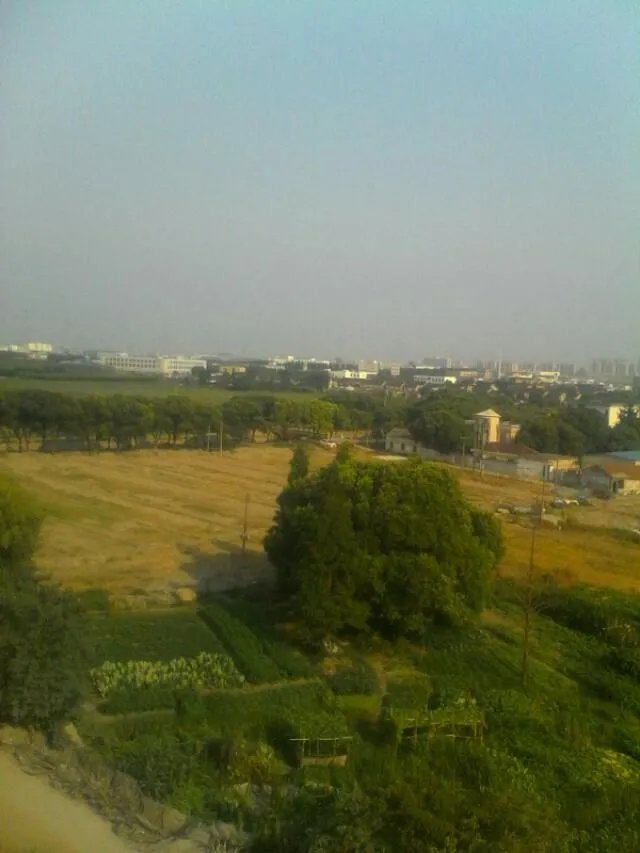 上联：移椅倚桐同望月，下联如何对？