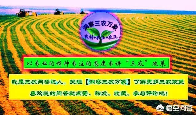 对东北农村子弟来说,学二人转表演是一条出路吗?