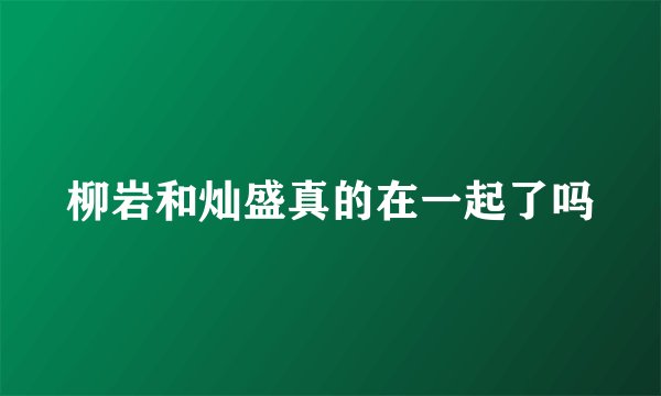 柳岩和灿盛真的在一起了吗