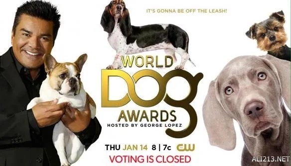 国外电视节目评选全球“狗王” DD,狗肉,Chop入选