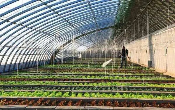 为什么北方农业温室大棚越来越少了？大棚现在不赚钱了吗？