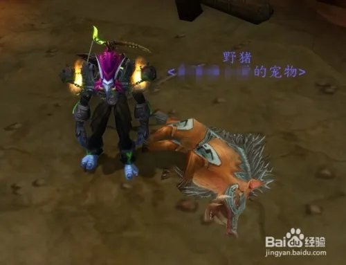 野猪之魂/灵魂野猪在哪抓？