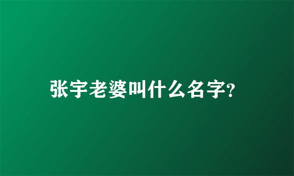 张宇老婆叫什么名字？