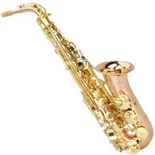 萨克斯多少钱一把