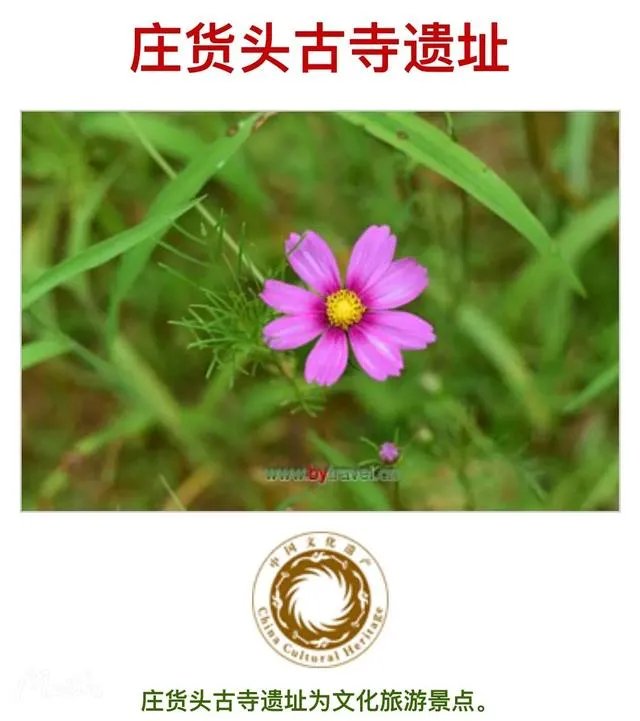 藁这个字怎么读?啥意思?能介绍下藁城吗?