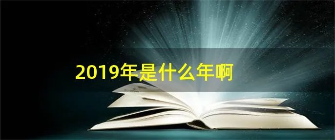 2019年是什么年啊