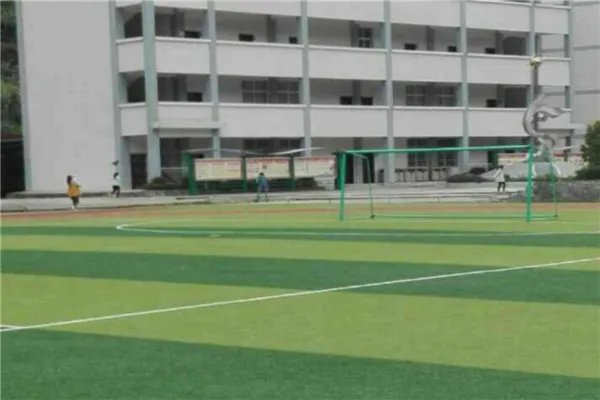 巴中市公立小学排名榜 南江县沙河镇小学上榜第一学生素质高