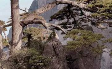 安徽黄山旅游景点介绍