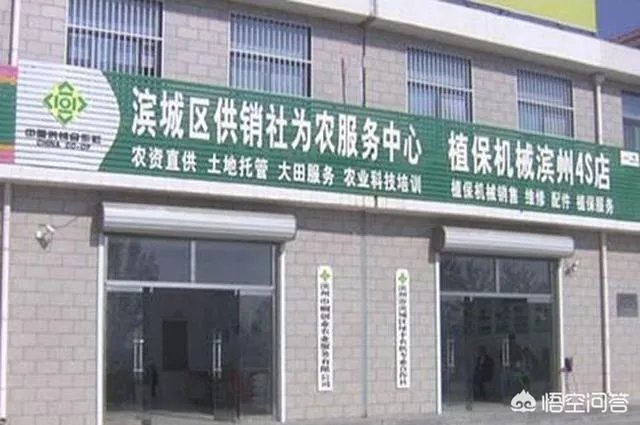 想开一家供销社