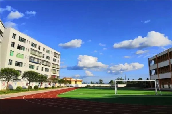 巴中市公立小学排名榜 南江县沙河镇小学上榜第一学生素质高