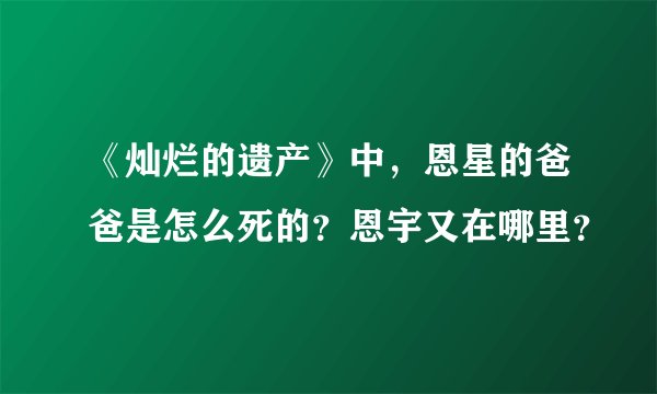 《灿烂的遗产》中，恩星的爸爸是怎么死的？恩宇又在哪里？