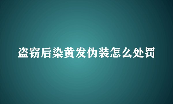 盗窃后染黄发伪装怎么处罚