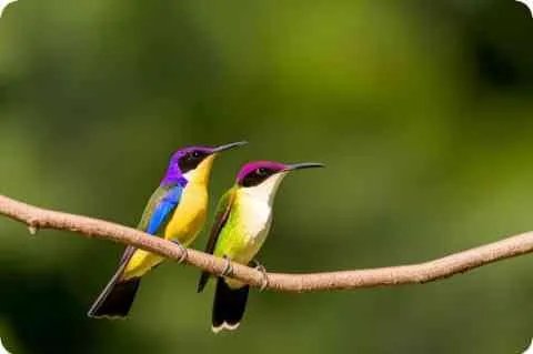 有首歌 其中有句歌词是（如果我有孩子的话 如果你是孩子她妈） 歌有点久了 谁知道歌名是什么啊？