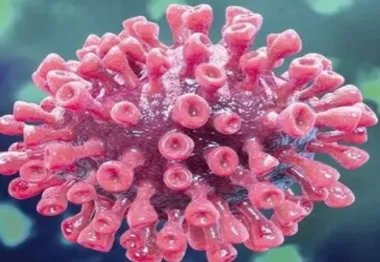 新冠肺炎的早期症状是什么？和感冒区别？