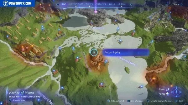 《阿凡达潘多拉边境》塔休幼苗位置汇总 塔休幼苗收集攻略