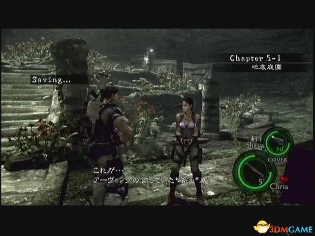 生化危机5全流程图文攻略 生化危机5全剧情流程详解