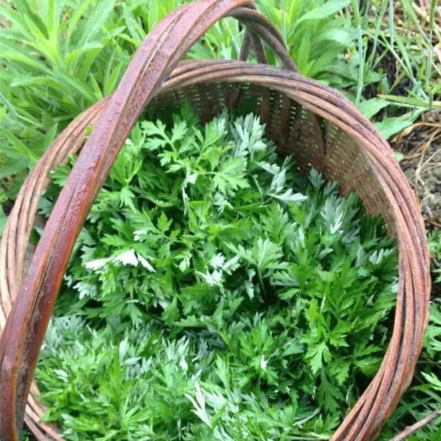 你吃过客家特色美食吗？