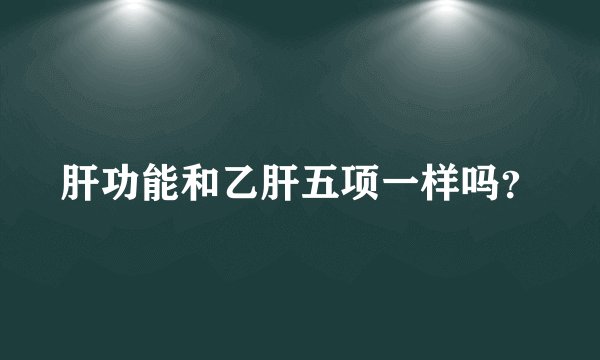 肝功能和乙肝五项一样吗？