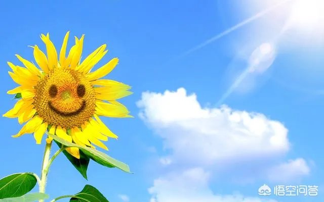 杭州小伙因为上班爱笑，被老板奖励10个月工资，对此你怎么看？