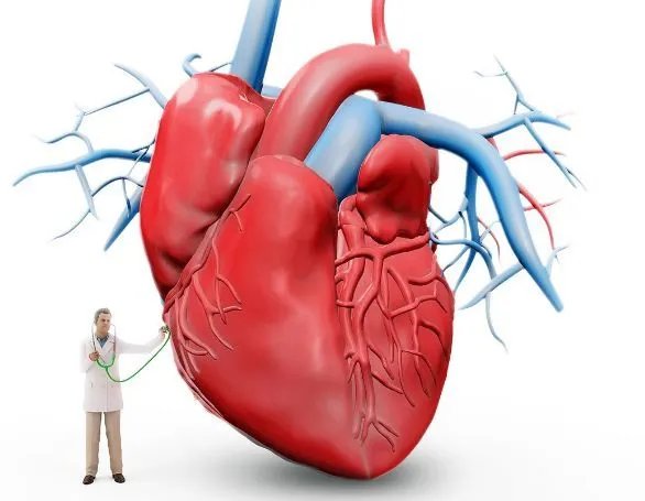 23岁女孩心脏停跳三天，怎样发生奇迹被治愈的呢？