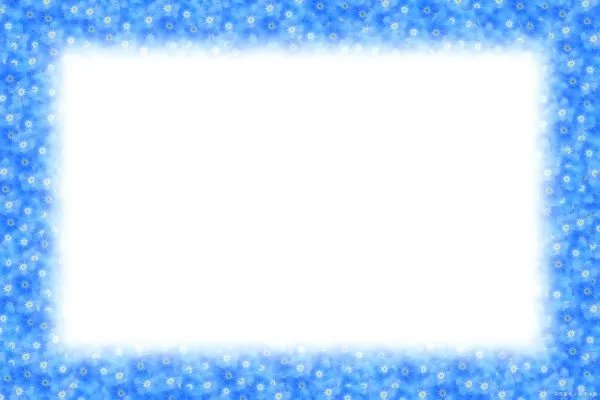 党的各级纪律检查委员会是党内监督专责机关主要任务是什么