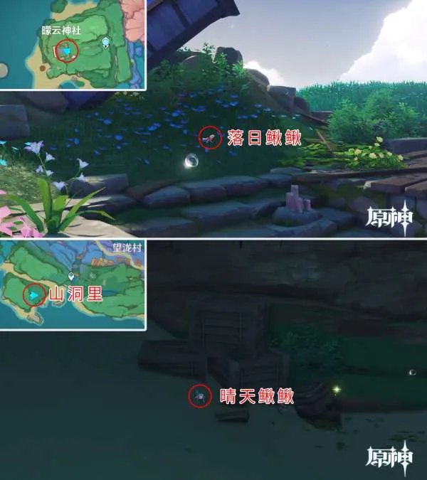 原神四方八方之网可捕捉动物在哪