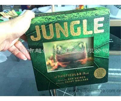 在深圳哪家印刷厂可以制做大型立体书?