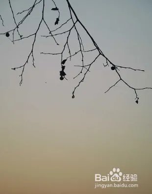 依山傍水打一字谜