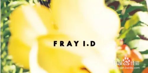 别只迷恋杨幂的机场街拍，这些品牌更适合你