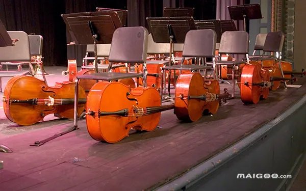 【男孩学什么乐器好】适合男孩学的乐器有哪些 培养气质男生的乐器推荐