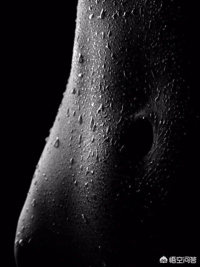 有哪些搞笑的手机壁纸？