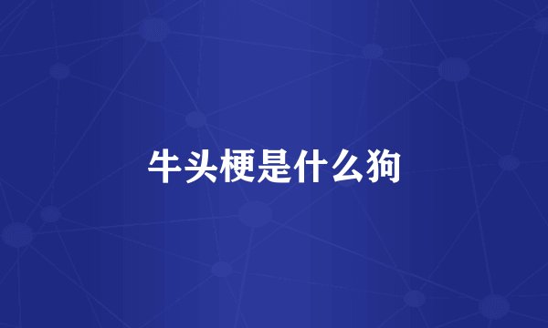 牛头梗是什么狗