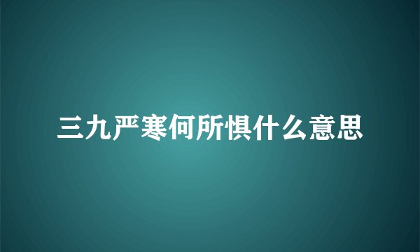 三九严寒何所惧什么意思