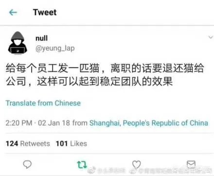 如何看待“给每个员工发一只猫，离职的话要退还猫给公司，可以起到稳定团队的作用”这句话？