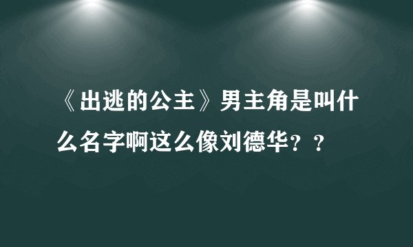 《出逃的公主》男主角是叫什么名字啊这么像刘德华？？