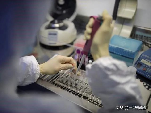 美国宣布进入紧急状态，当地华侨应该怎么团结自救？