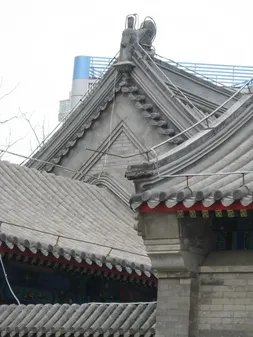 A570 IS实拍样片赏析