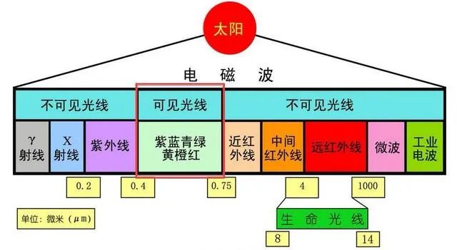 一加8pro镜头透视是炒作还是事实,你怎么看?