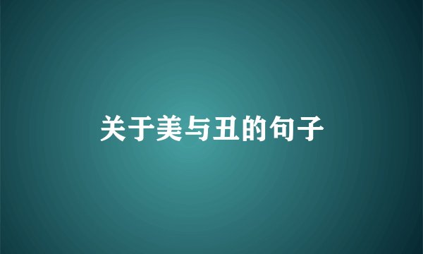 关于美与丑的句子