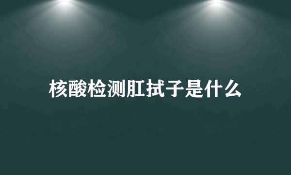 核酸检测肛拭子是什么