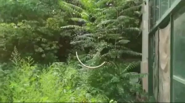 4600万买别墅，突然发现外面有坟头后打官司，很忌讳吗？