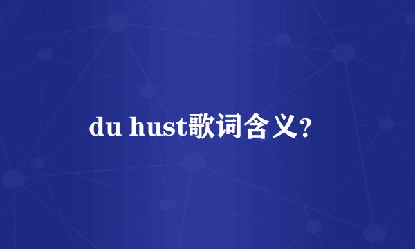 du hust歌词含义？
