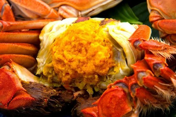 阳澄湖大闸蟹上海哪里比较正宗？