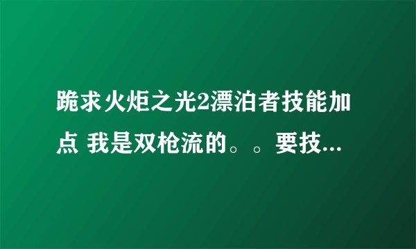 跪求火炬之光2漂泊者技能加点 我是双枪流的。。要技能的。。