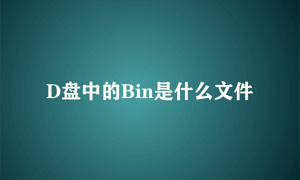 D盘中的Bin是什么文件