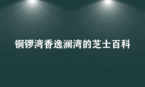 铜锣湾香逸澜湾的芝士百科