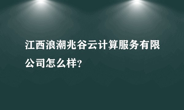 江西浪潮兆谷云计算服务有限公司怎么样？