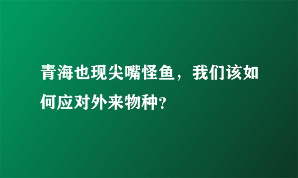 青海也现尖嘴怪鱼，我们该如何应对外来物种？