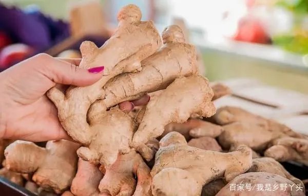熏硫磺生姜有什么危害