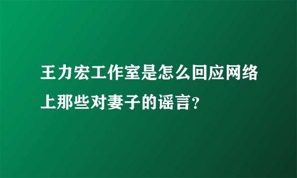 王力宏工作室是怎么回应网络上那些对妻子的谣言？